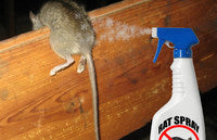 Rat Repellents
