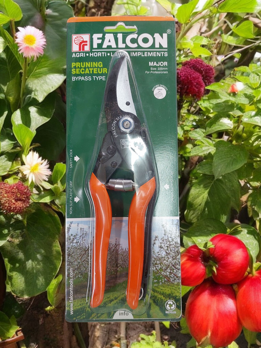 Falcon Secateur Major